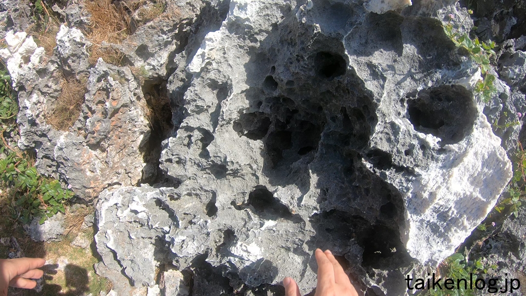 南島に上陸 岩の表面が鋭利な刃物のようになっている