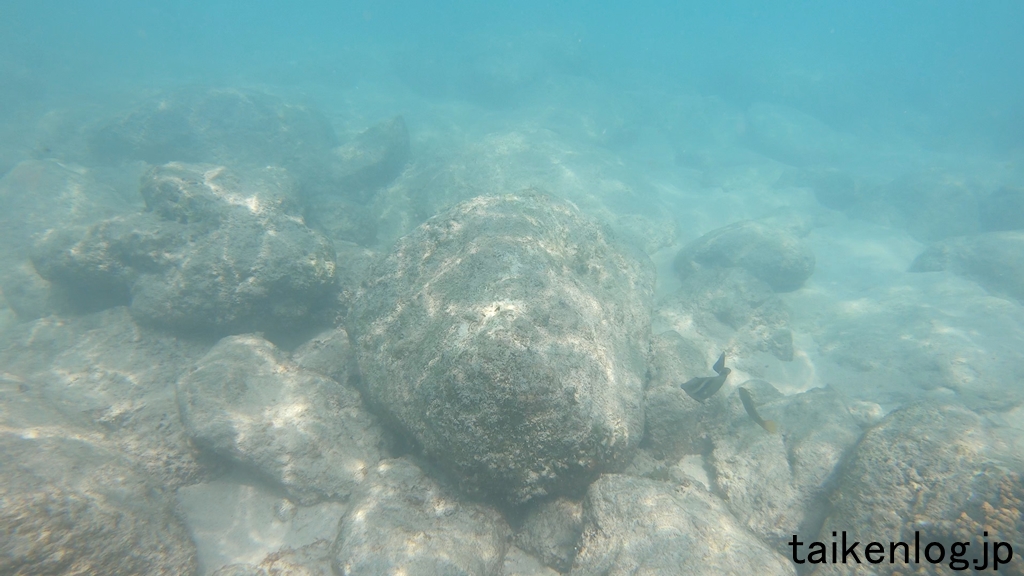 南島 扇池の海中は岩ばかりで透明度は良くなかった。魚も少しだけいた