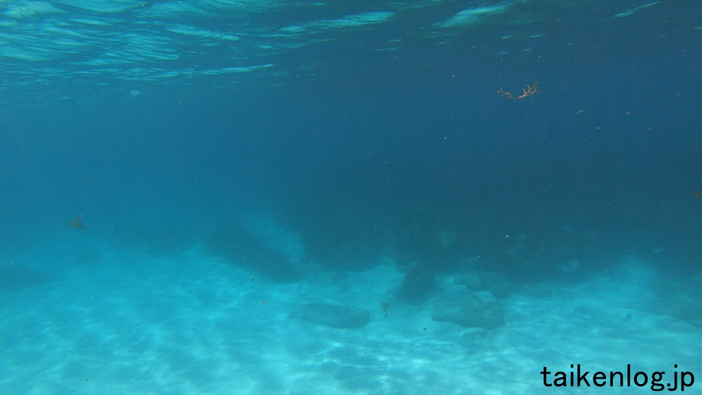 南島上陸ツアー 鮫池の海中のようす　綺麗なボニンブルーだが透明度はあまり良くない