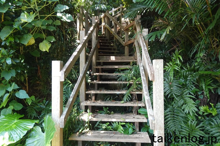 大神島の遠見台(展望台)の手前にある階段