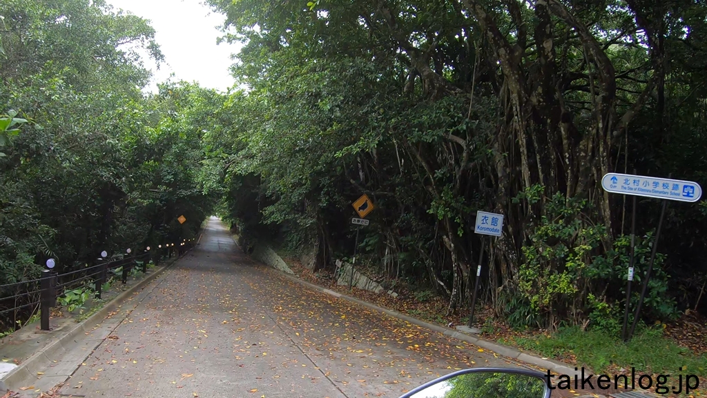 母島の北港に向かう道路　右側は北村小学校跡