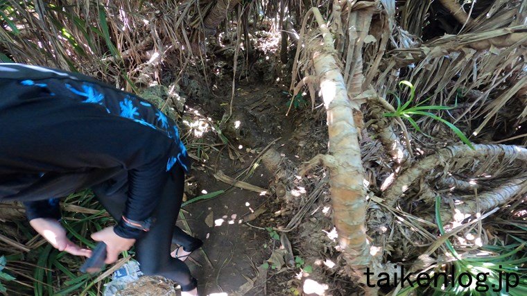 伊良部島の「三角点」手前のようす