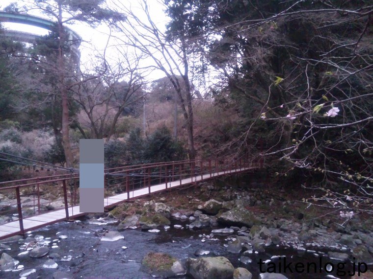 2011年2月の大滝温泉 天城荘 川沿いの吊り橋