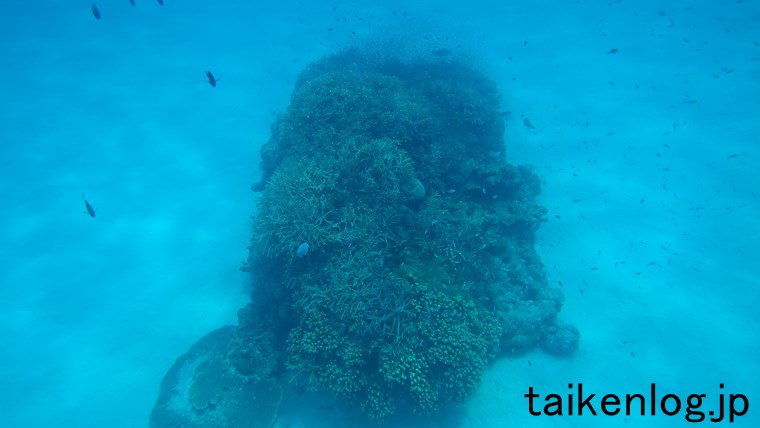 渡嘉敷島 ハナリ島の東側の沖にあるサンゴ礁