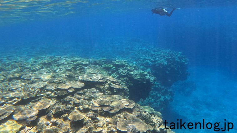 渡嘉敷島 ヒジュイシビーチ沖の海中 サンゴの群生ポイントの水深