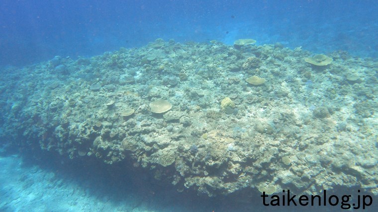 渡嘉敷島 ヒジュイシビーチ沖の海中 サンゴの群生ポイントの隣りの岩礁のようす