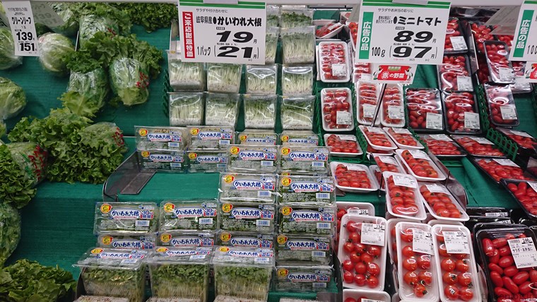 ツルヤ軽井沢店の陳列商品 緑豆もやし