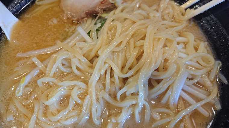 伝丸の熟成味噌ラーメンの麺