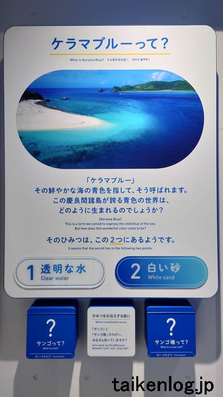 座間味島「青のゆくる館」内の展示物 ケラマブルーのひみつ 展示パネル1枚目