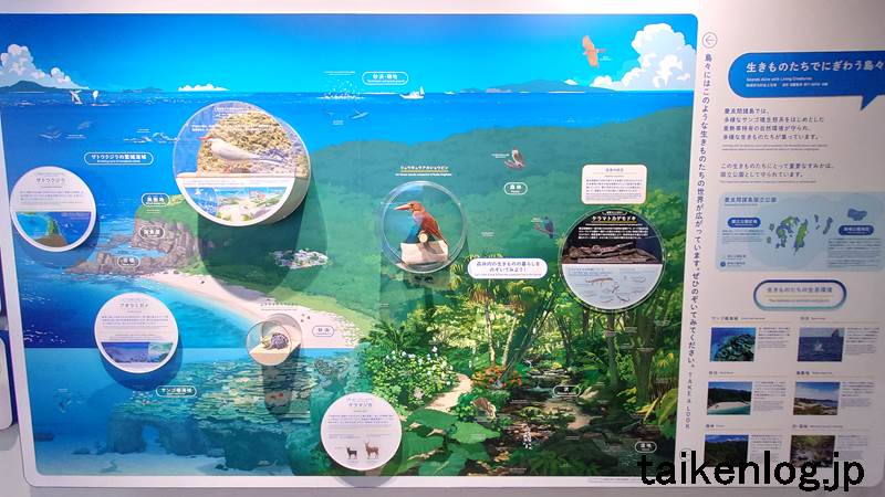座間味島「青のゆくる館」内の展示物 慶良間諸島に集う生きものたち 展示パネル1枚目
