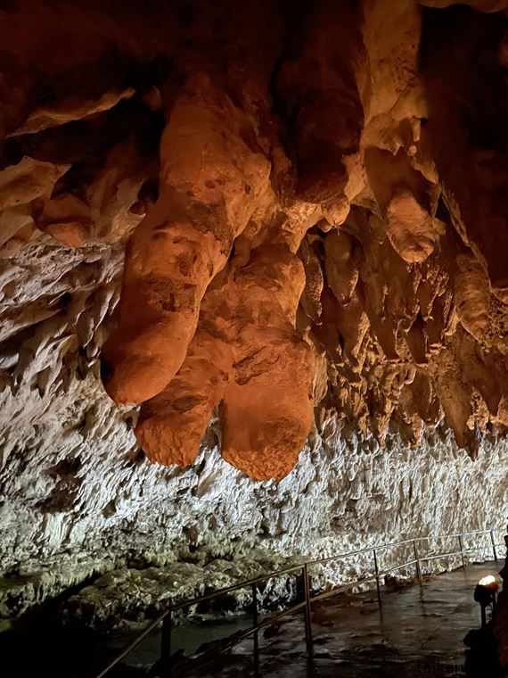 ガンガラーの谷のイキガ洞の内部の石柱 その2
