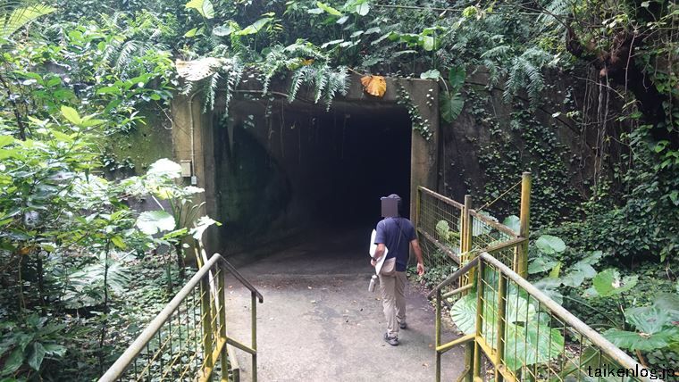 ガンガラーの谷のトンネル入り口