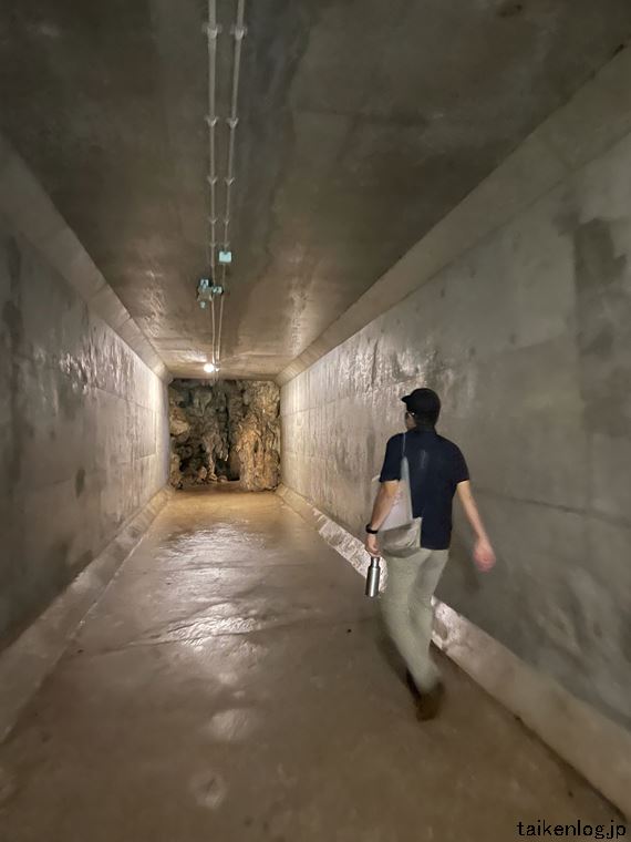 ガンガラーの谷のトンネル内部