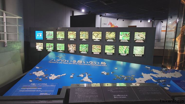 ハブ博物公園 2階の展示物 沖縄県のハブのいる島いない島