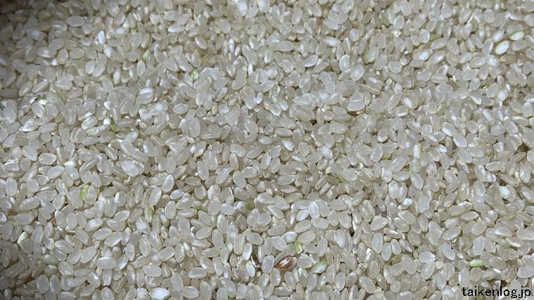 自然栽培米専門店ナチュラルスタイルで購入した旭一号 五分づき米の米粒