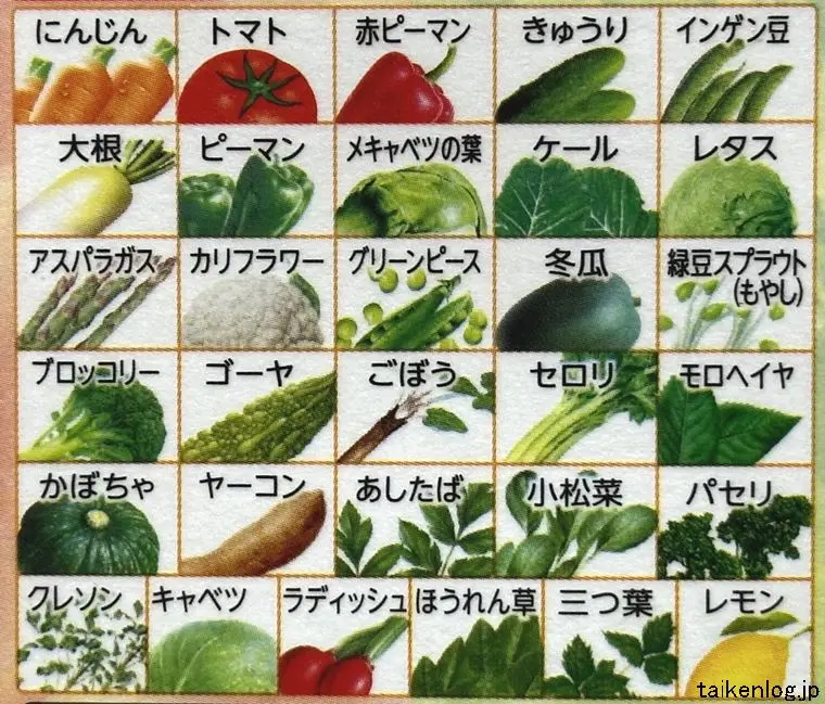 伊藤園 1日分の野菜に入っている原材料の野菜