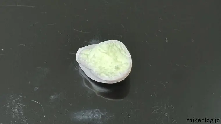 エイワ むにむにだよ グレープ味 外観 断面